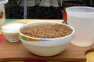 Описание видов браги из пшеницы для изготовления самогона