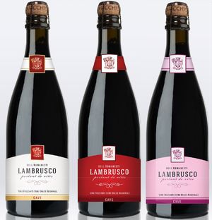 Особенности шампанского Ламбруско