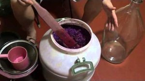 Как в домашних условиях приготовить самогон из винограда
