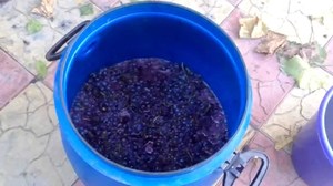 Способ приготовления виноградного самогона