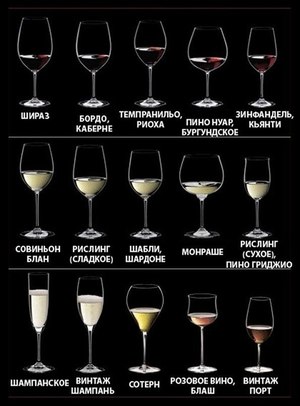 Как выбрать бокал для вина