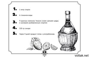 Как правильно готовить водку