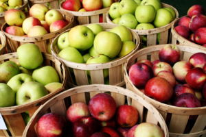 Для хорошего вкуса важно правильно выбрать сырье - яблоки