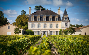 Замковые вина Франции